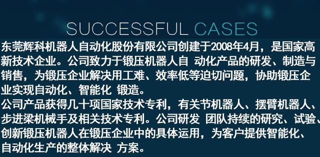 成功案例